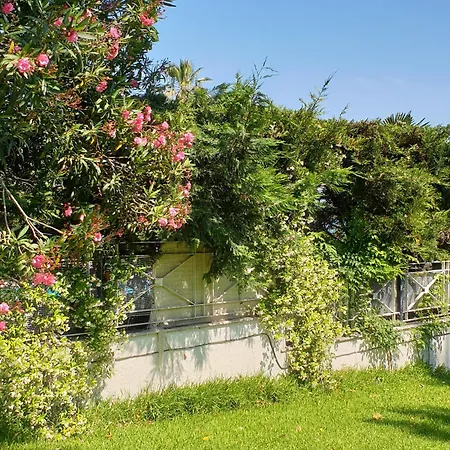 Lily's House-seafront In Hanioti, Halkidiki
