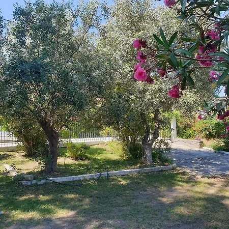 Lily's House-seafront In Hanioti, Halkidiki Prázdninový dům