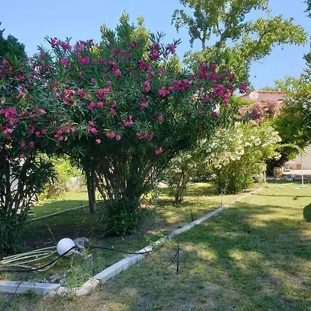 Lily's House-seafront In Hanioti, Halkidiki