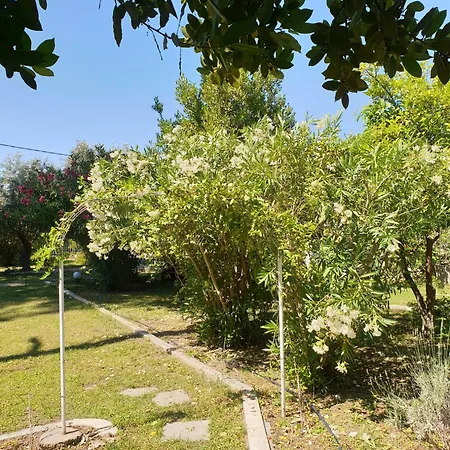 Lily's House-seafront In Hanioti, Halkidiki