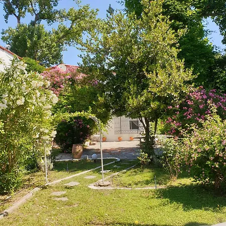 Lily's House-seafront In Hanioti, Halkidiki Chanioti