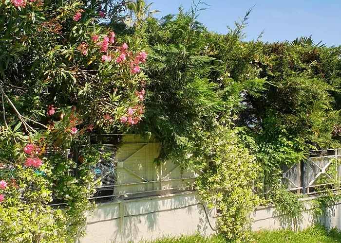 Lily's House-seafront In Hanioti, Halkidiki