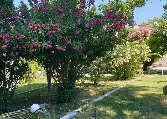 Lily's House-seafront In Hanioti, Halkidiki