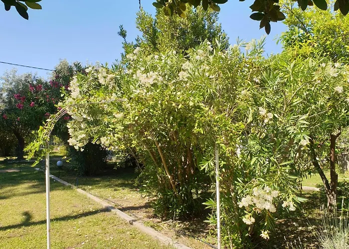 Lily's House-seafront In Hanioti, Halkidiki